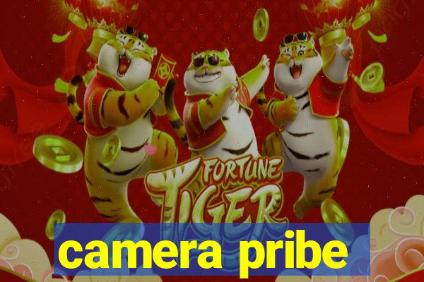 camera pribe